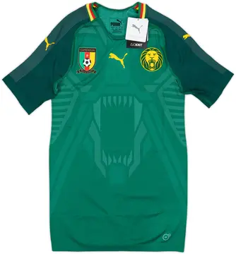2018-19 Cameroon Authentic Home Shirt (M)