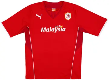 2013-14 Cardiff Home Shirt - 10/10 - (L)