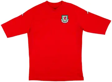 2004-06 Wales Home Shirt - 10/10 - (L)