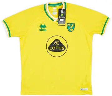 2020-21 Norwich City Home Shirt (Women's L)